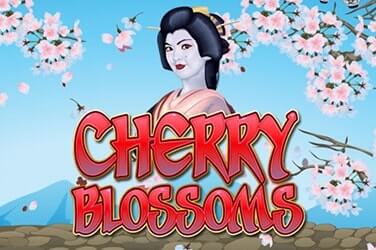 Cherry Blossoms