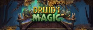 Druids' Dream slot gameplay screenshot