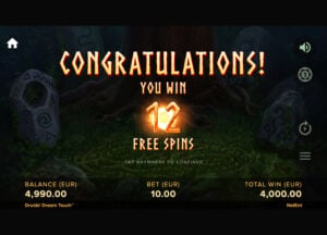 Druid's Dream gameplay screenshot