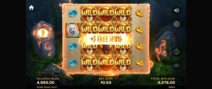 Druid's Dream gameplay screenshot