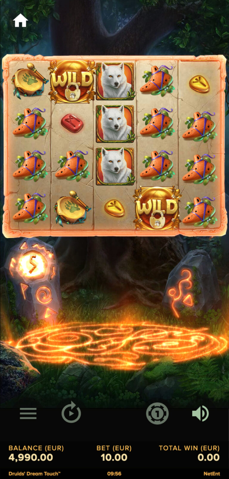 Druid's Dream gameplay screenshot