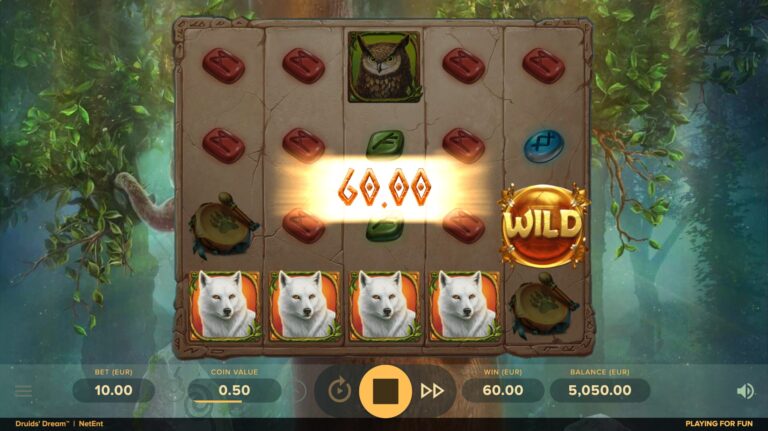 Druid's Dream gameplay screenshot