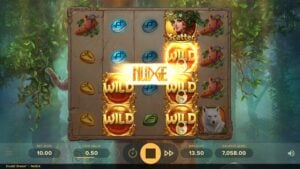 Druid's Dream gameplay screenshot