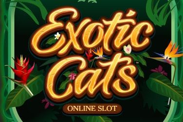 Exotic Cats