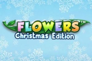 Flowers Christmas Edition