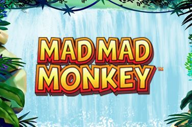 Mad Mad Monkey