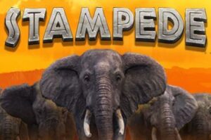 Stampede