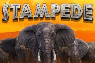 Stampede