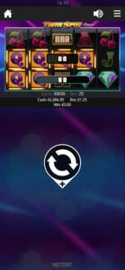 Twin Spin gameplay screenshot