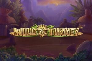 Wild Turkey