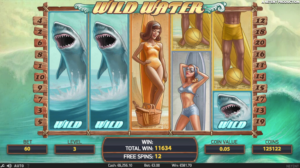 Wild Water gameplay screenshot